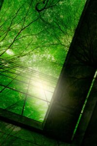 ESG: der neue „Cyberschutz“