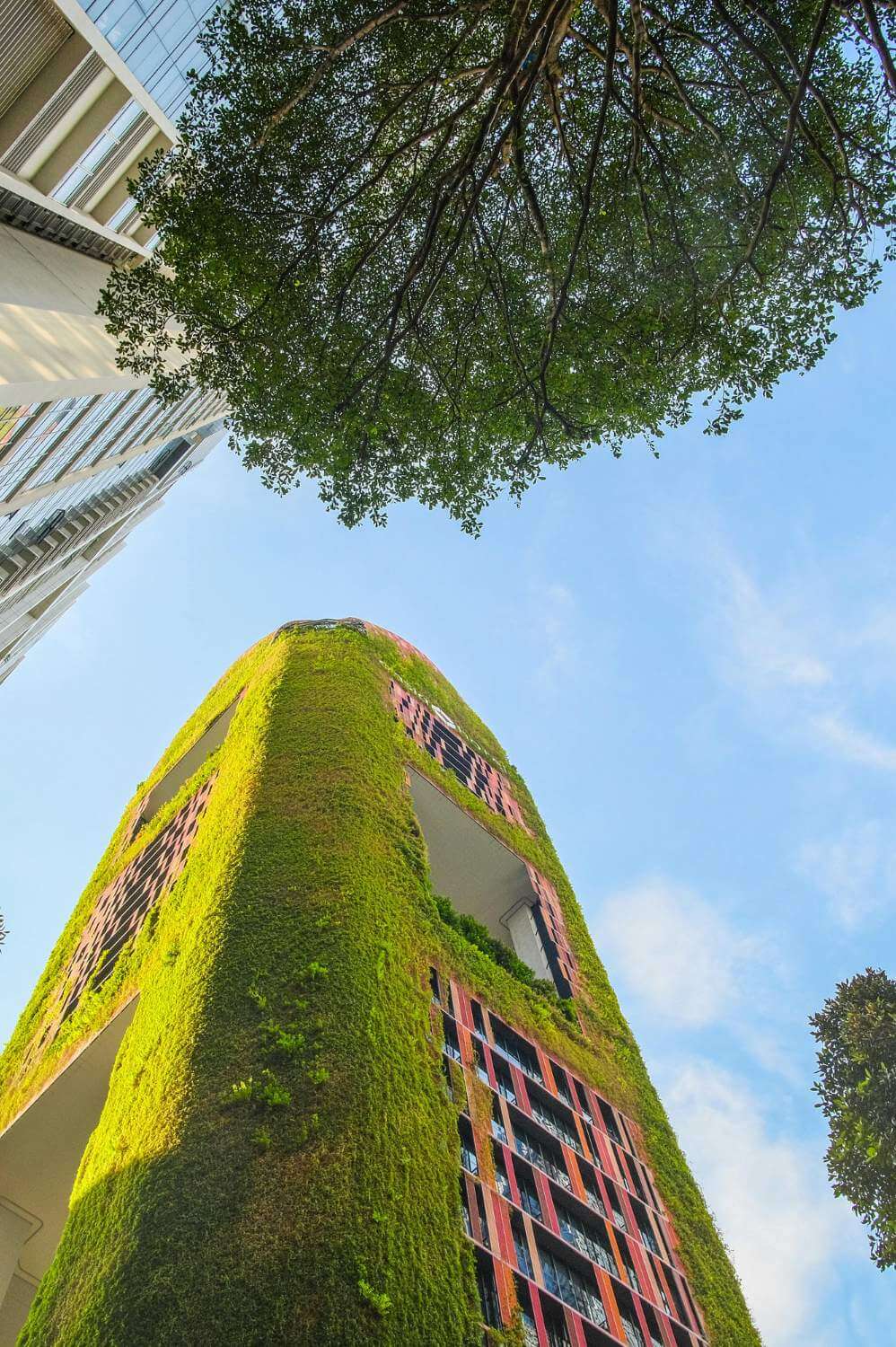 ESG-certification: deadline approaching, it is worth clarifying the tasks in time
